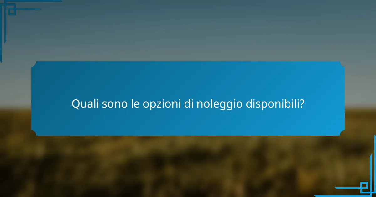 Quali sono le opzioni di noleggio disponibili?
